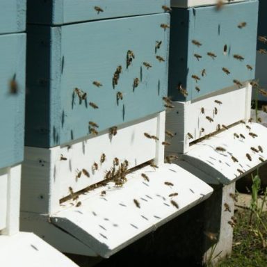 Včelín, včelí úl - Jakubovské včelařské krmítko